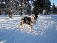 /album/bozi-dar-08/dsc08196-web-jpg/